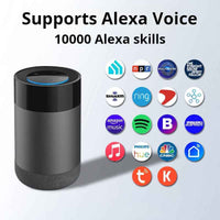 AI voice interaction 9 languages voice smart speaker Tuya Smart Alexa